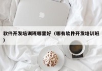 软件开发培训班哪里好（哪有软件开发培训班）