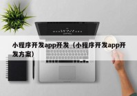 小程序开发app开发（小程序开发app开发方案）